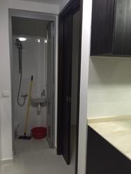 The Inflora (D17), Condominium #131767952